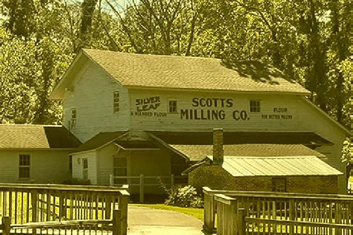 escort Scotts Mill