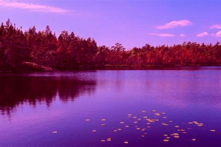 escort Sea Lake