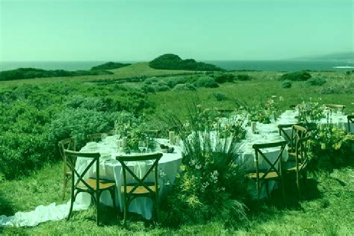 escort Sea Ranch