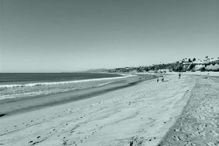 escort Seal Beach