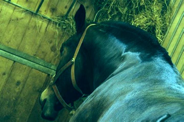 escort Sebazac-Concoures