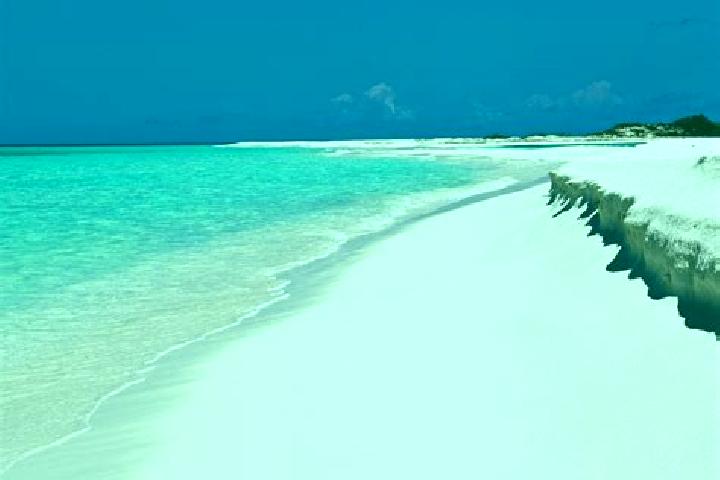 escort Seccion los Roques