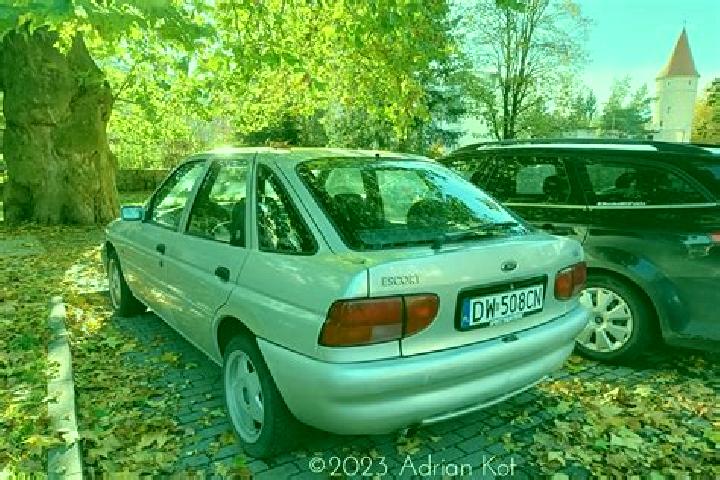 escort Sechenovo