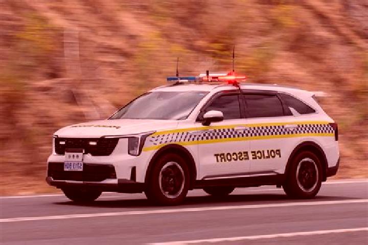 escort Section