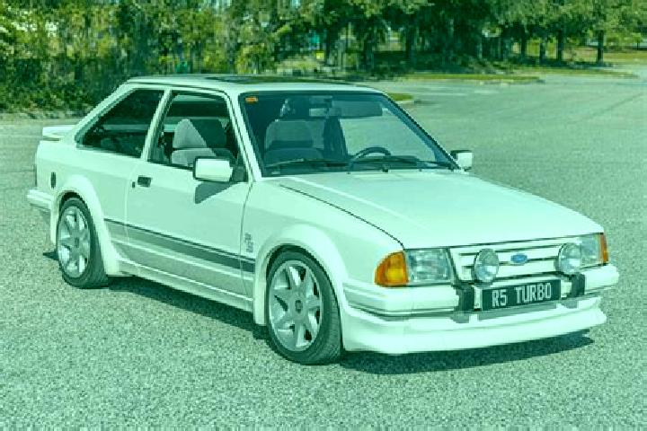 escort Seddon