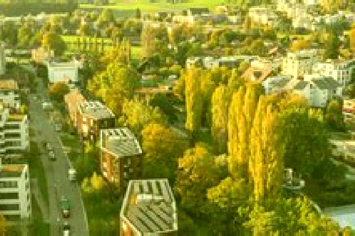 escort Seebach