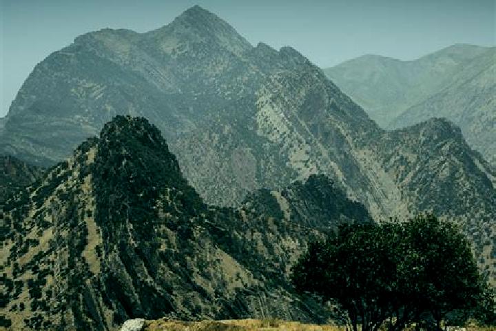 escort Sefid Dasht