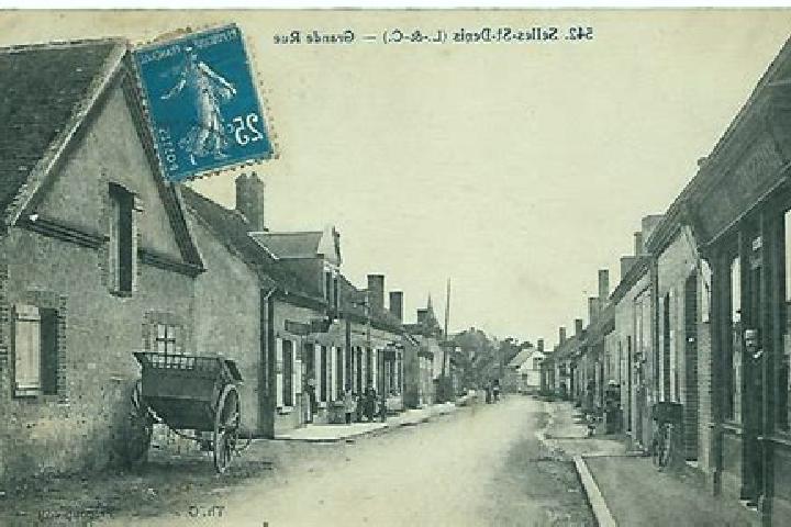 escort Selles-Saint-Denis