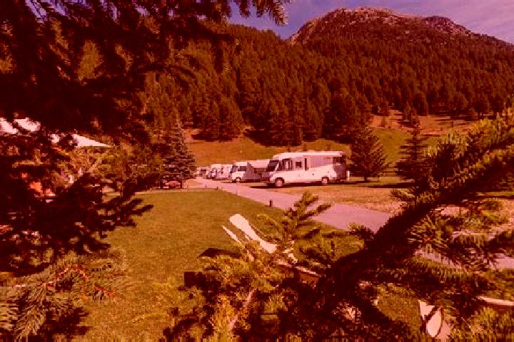 escort Selva di Progno