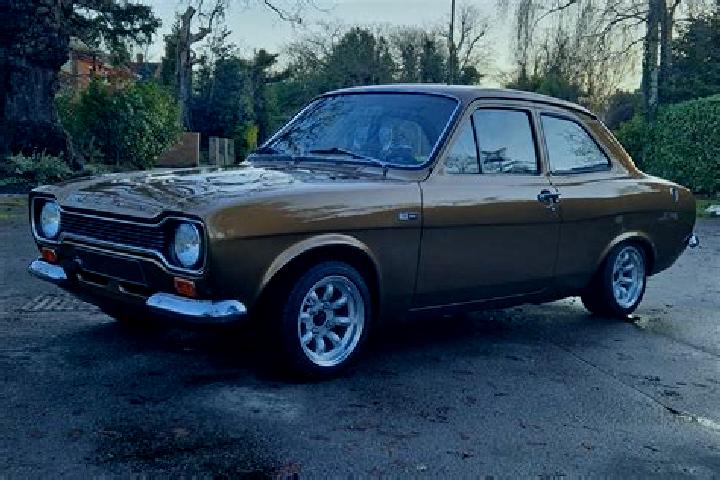 escort Selwerd