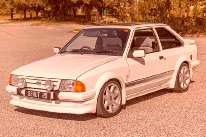 escort Selzen