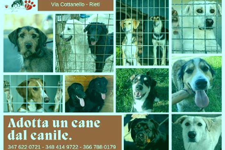 escort Semonte-Casamorcia