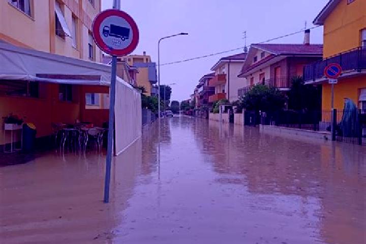 escort Senigallia