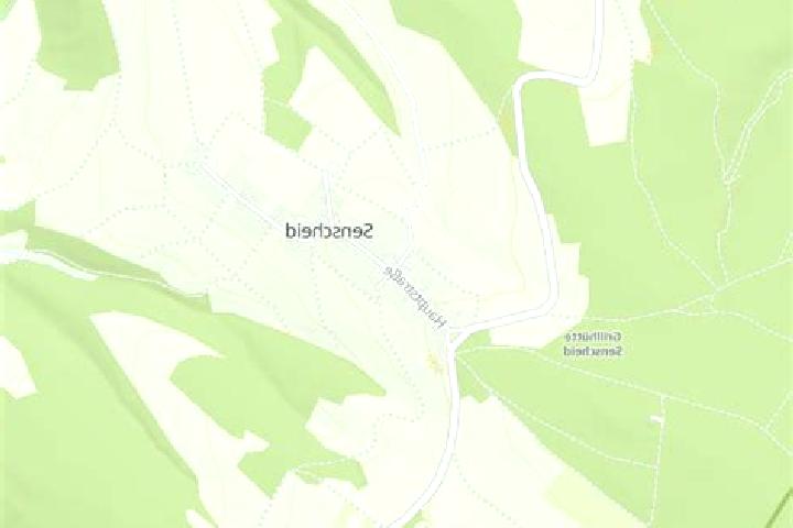 escort Senscheid