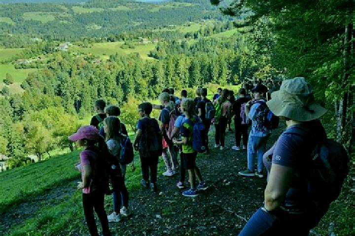escort Sentjanz pri Dravogradu