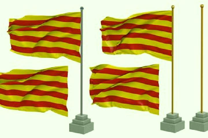 escort Senyera