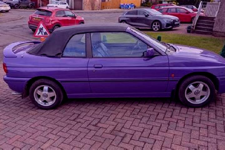 escort Seogwipo
