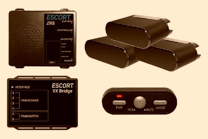 escort Sepolno