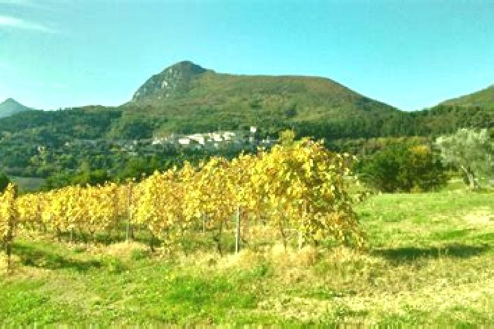 escort Serra San Quirico