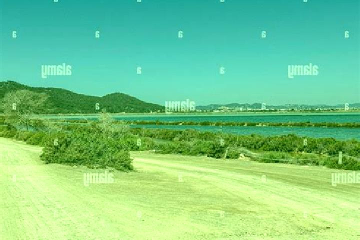 escort Ses Salines