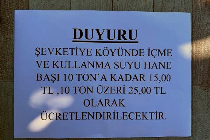 escort Sevketiye
