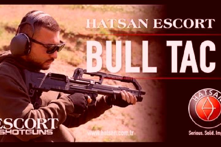 escort Seyyedan