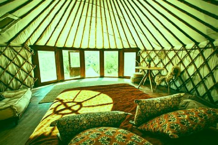 escort Shaami-Yurt