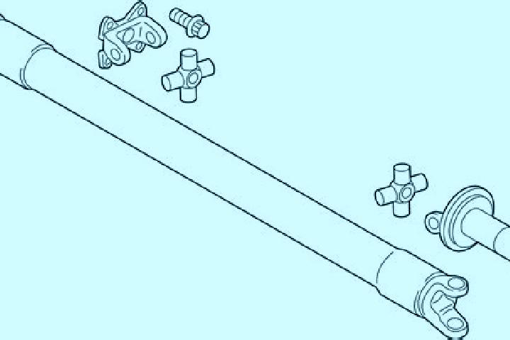 escort Shaft