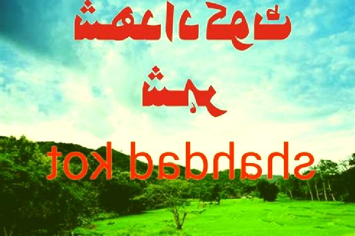 escort Shahdad Kot