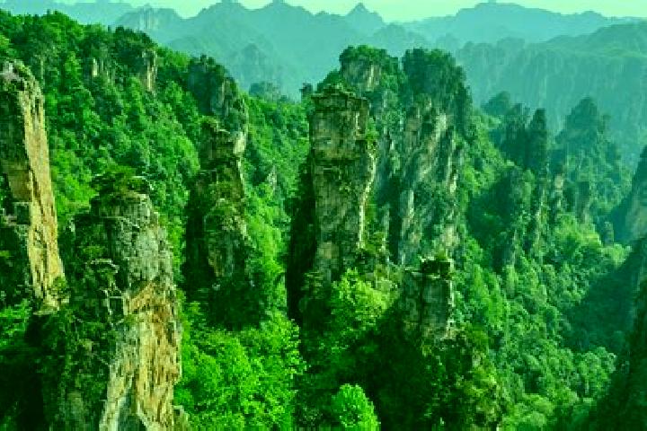 escort Shanjiang