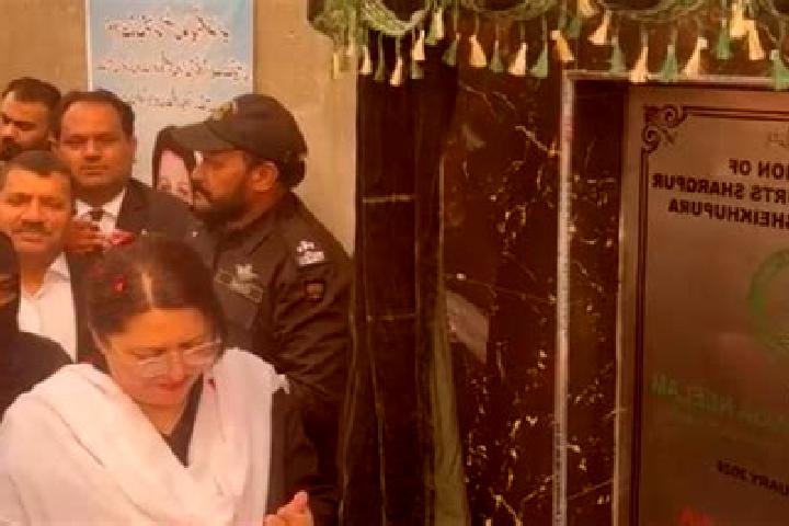 escort Sharqpur Sharif
