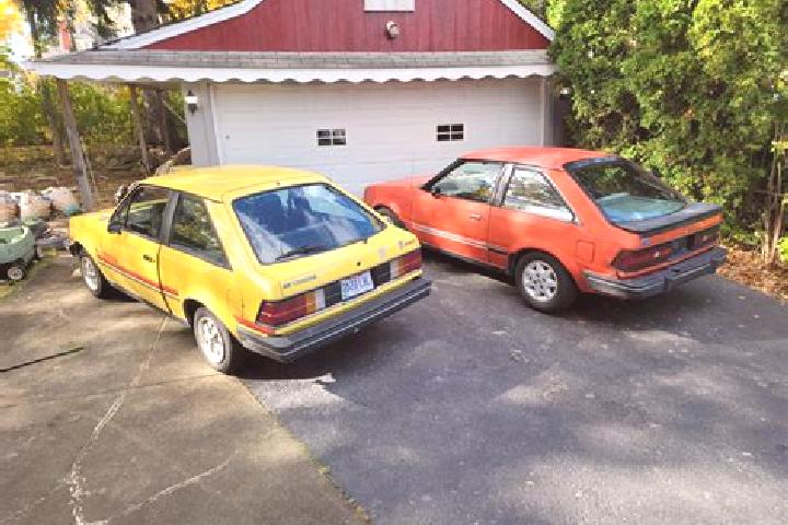 escort Shawsville