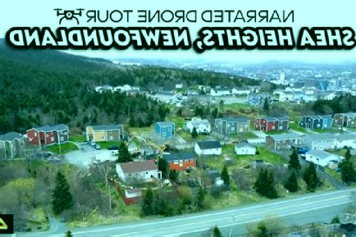 escort Shea Heights