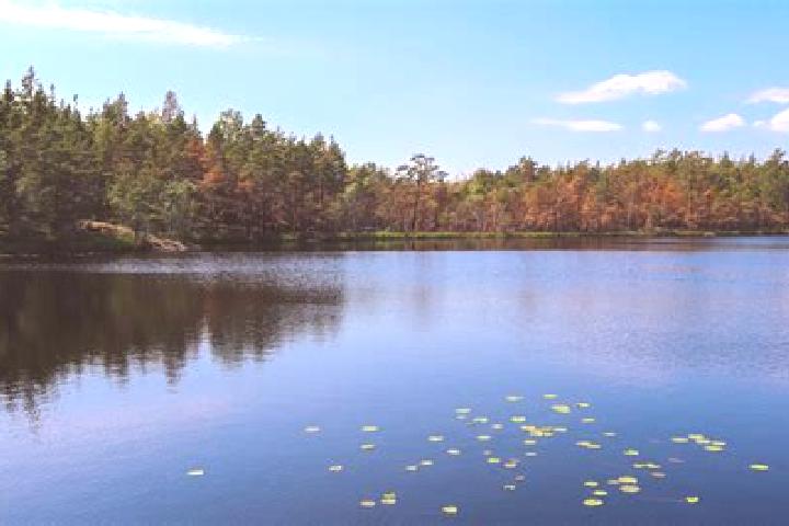 escort Sheffield Lake