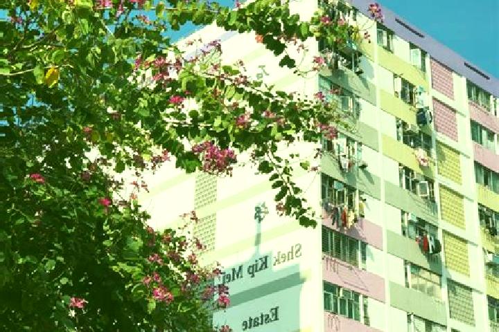 escort Shek Kip Mei Estate