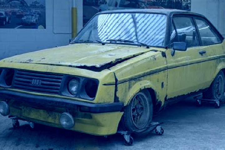 escort Shelleng