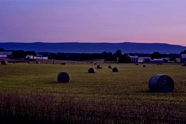 escort Shenandoah Farms