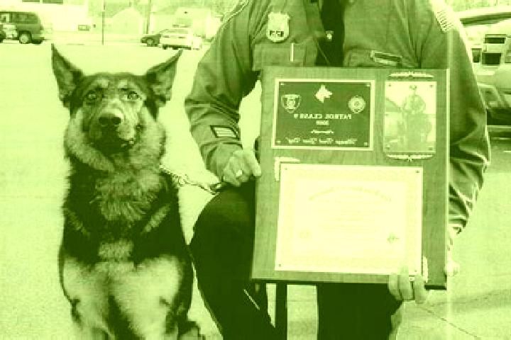 escort Shepherd