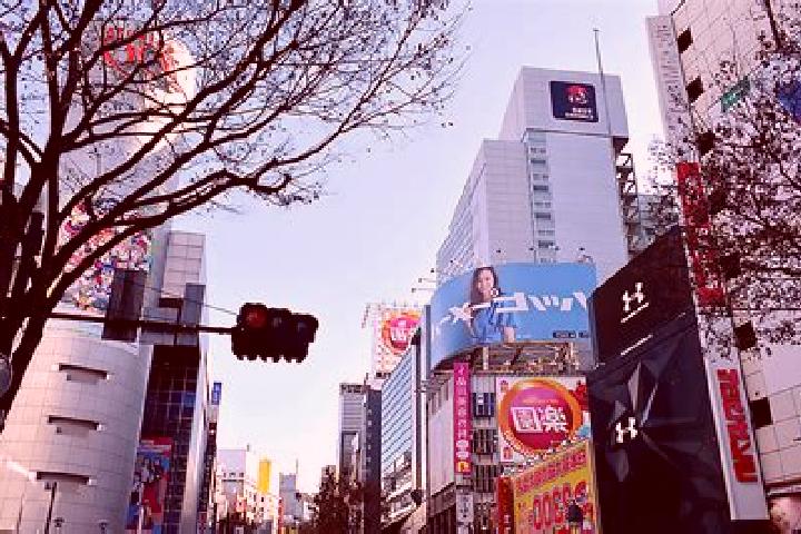 escort Shibuya