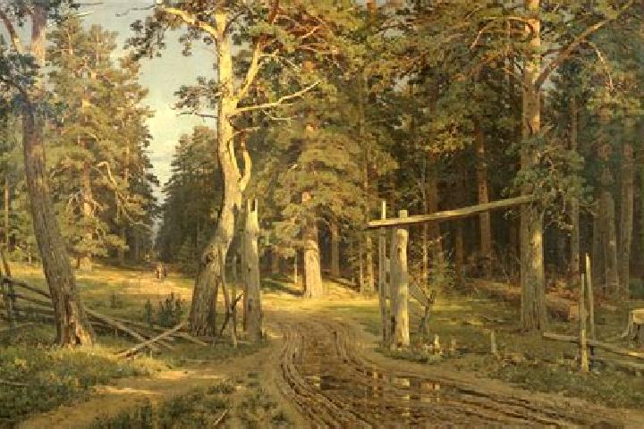 escort Shishkin Les