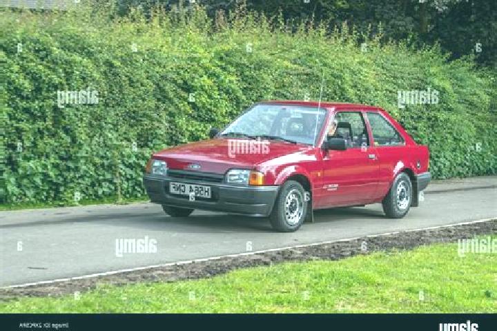 escort Shobu