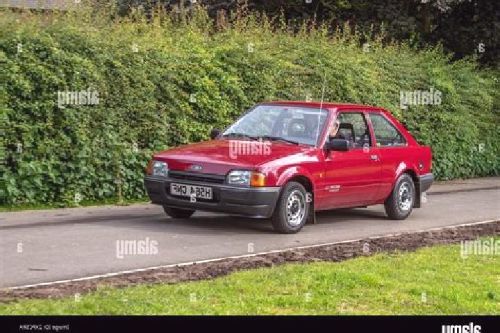 escort Shoctic