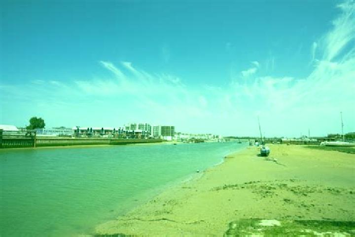 escort Shoreham-by-Sea