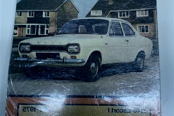 escort Showa