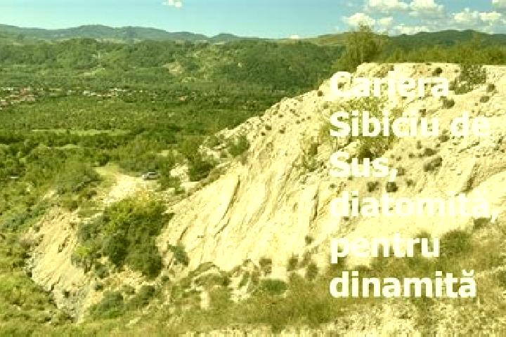 escort Sibiciu de Sus