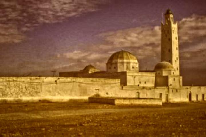 escort Sidi Bin Zinah