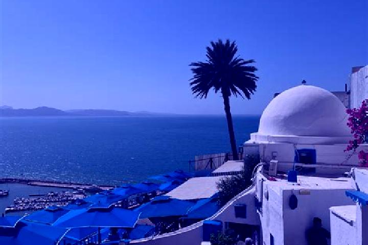escort Sidi Bou Ali