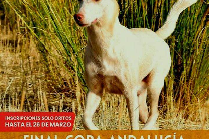 escort Sierra de Yeguas