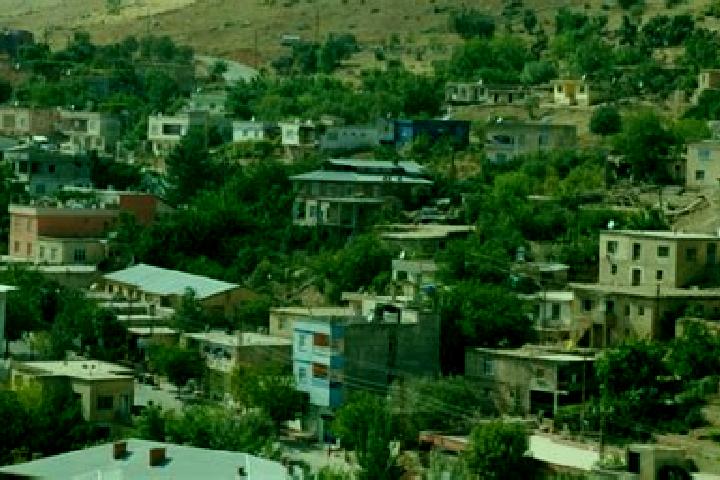 escort Siirt