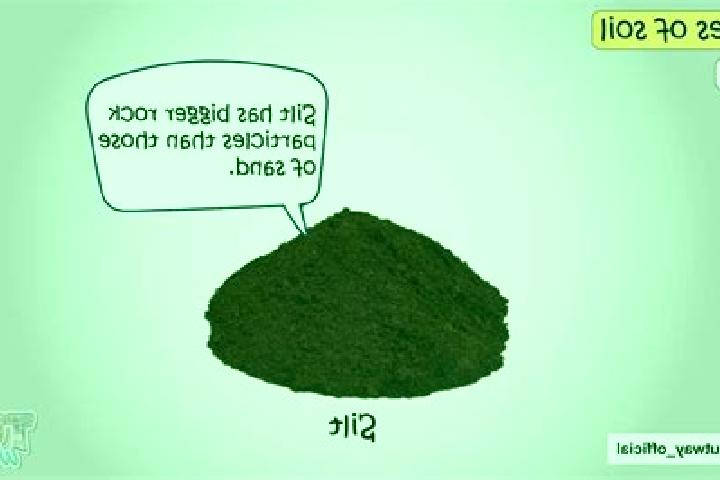 escort Silt